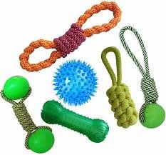 Pet Toys